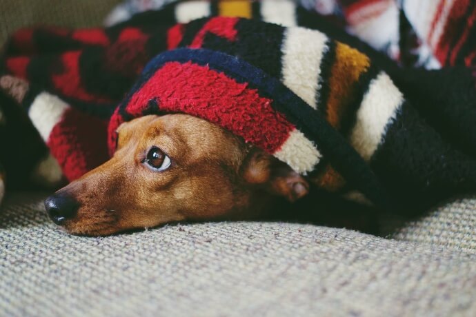 coperta personalizzata con foto